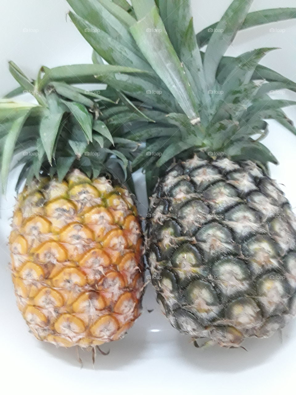 two pineapples, the left one is ripe and its color will change from green color which is the right one to yellow color.