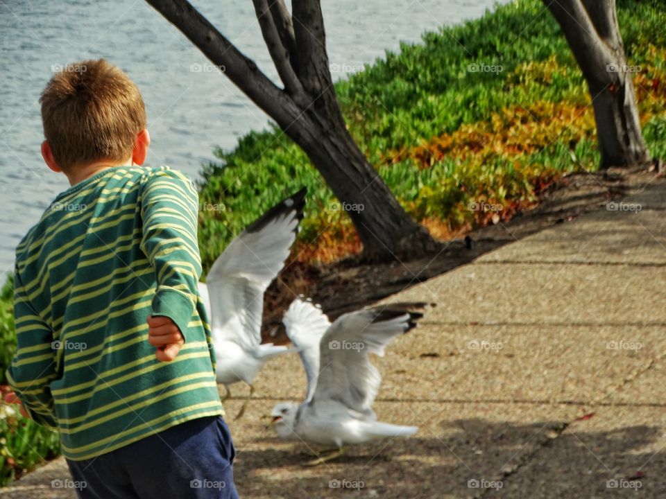 Boy Feeding Birds