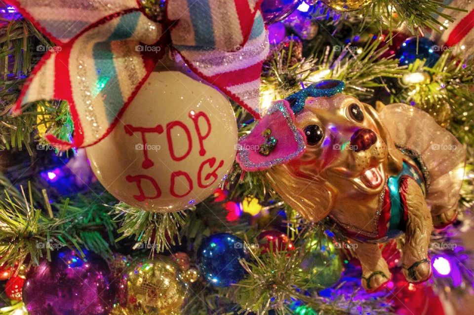 Top dog. Dog Christmas decorations 