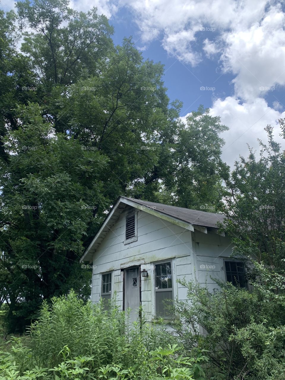 Mississippi delta abandoned house