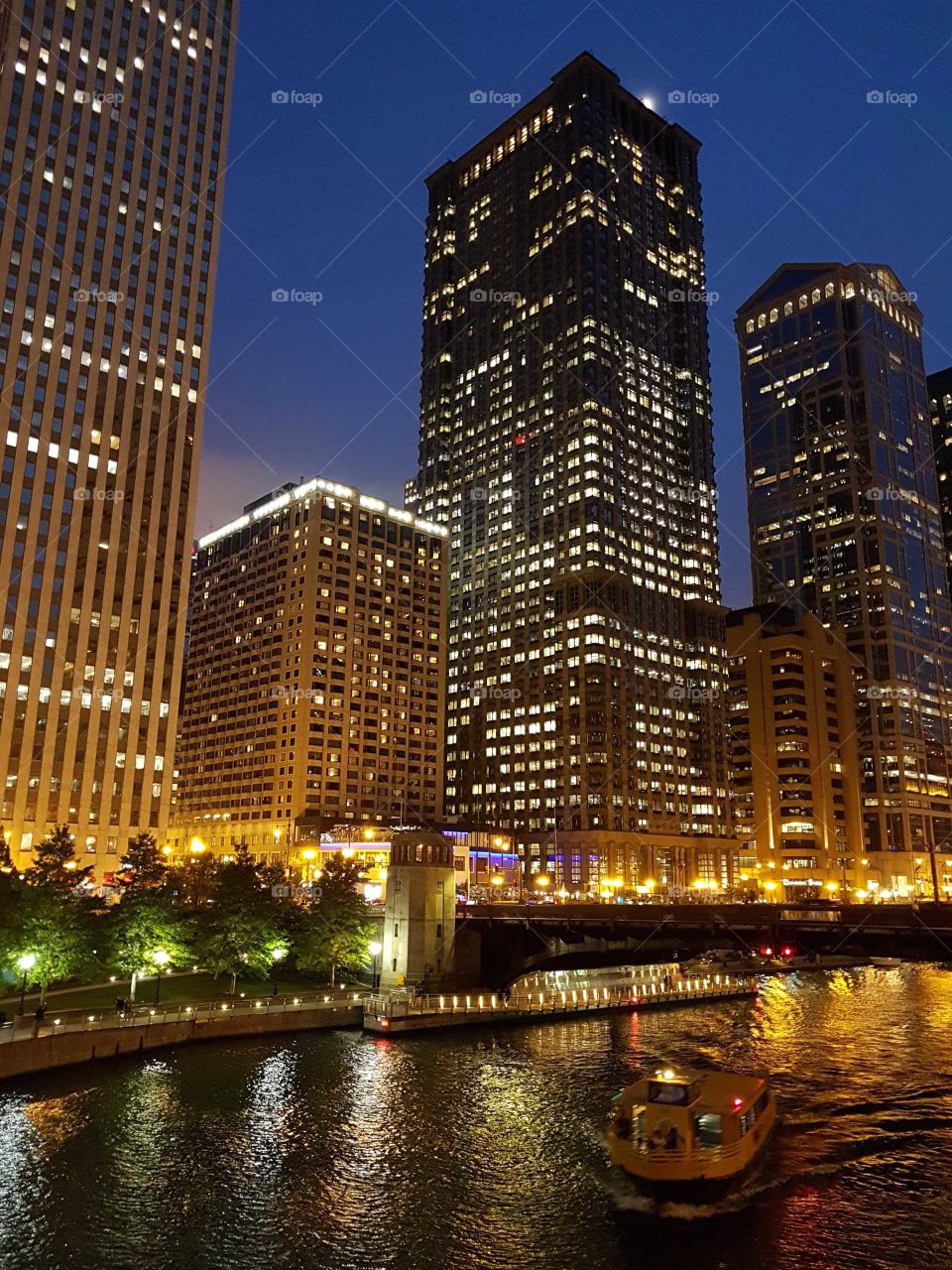 chicago river by night