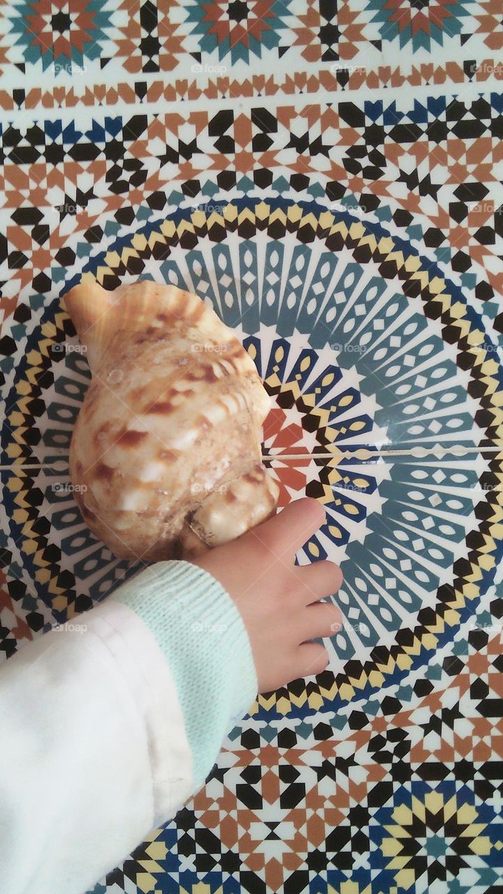 young girl holds a seashell