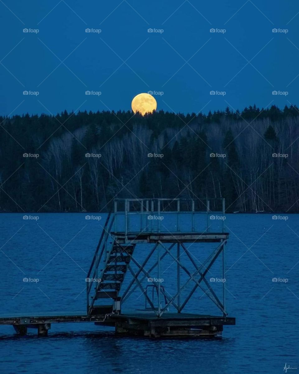 winter with full moon 🌝