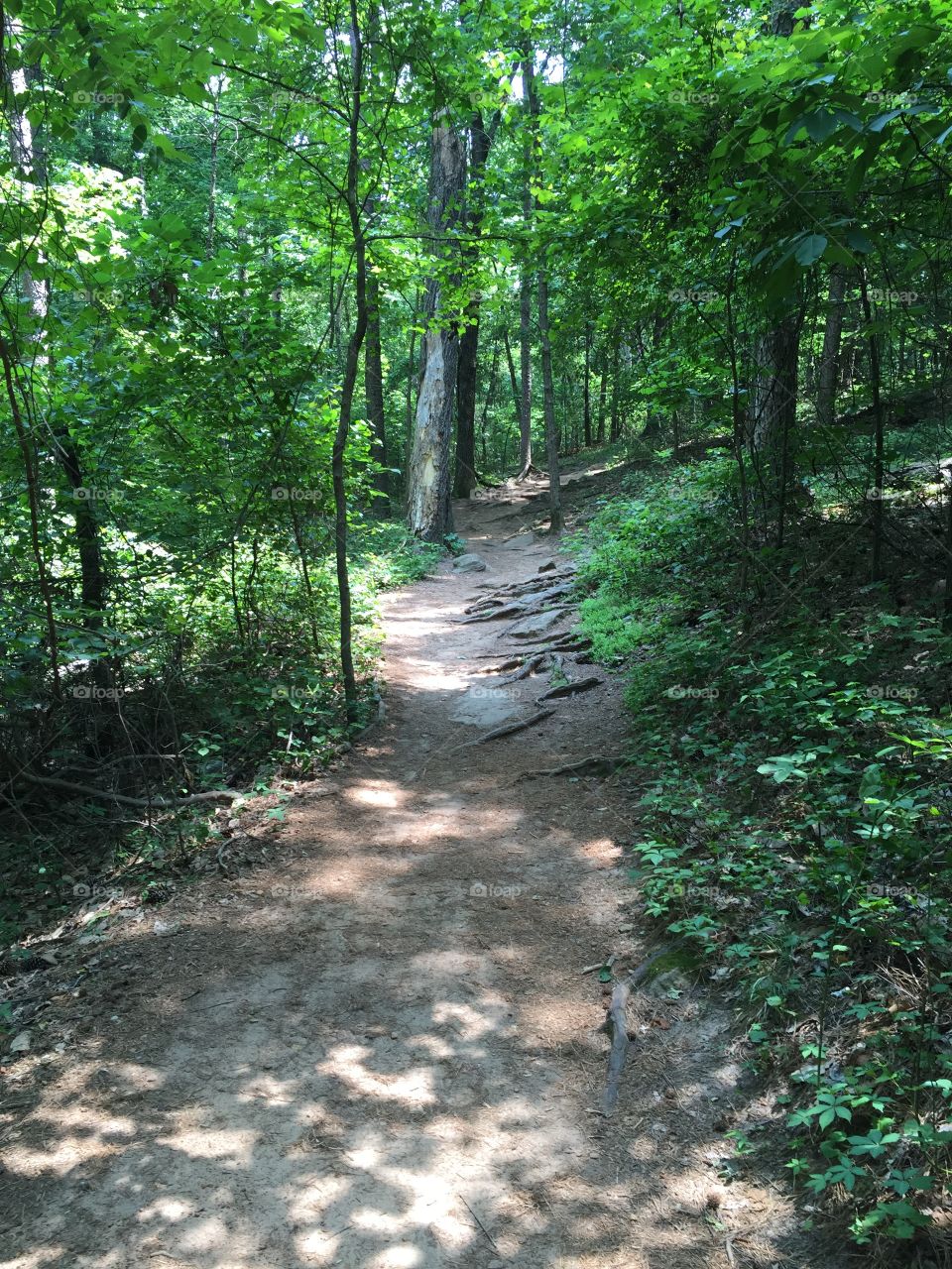 Hiking trail