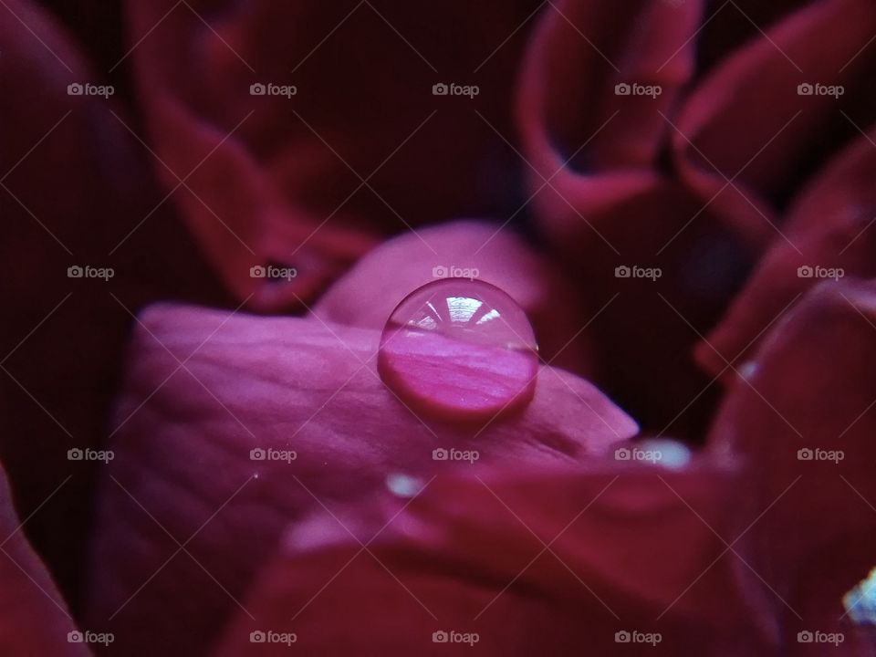 Autumn rain drop reflection