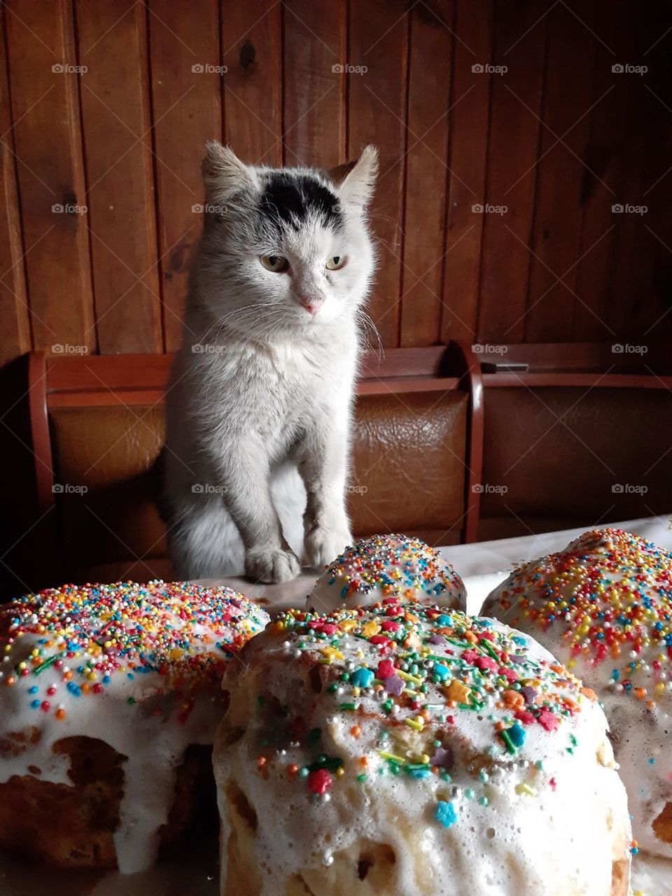 Baked and decorated Easter bread with a village cat