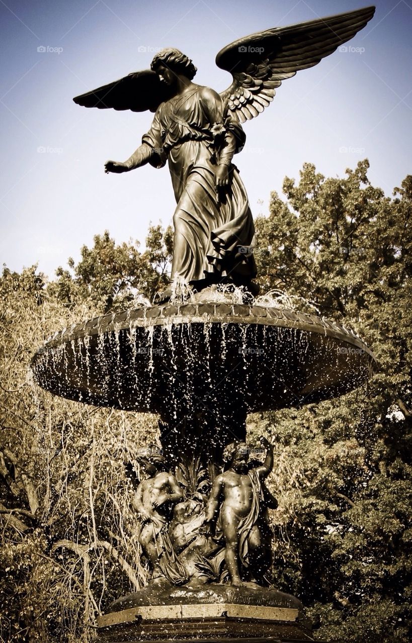 Fountain Angels