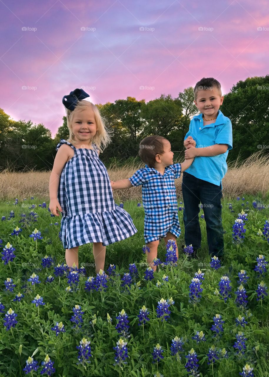 Bluebonnets at sunset