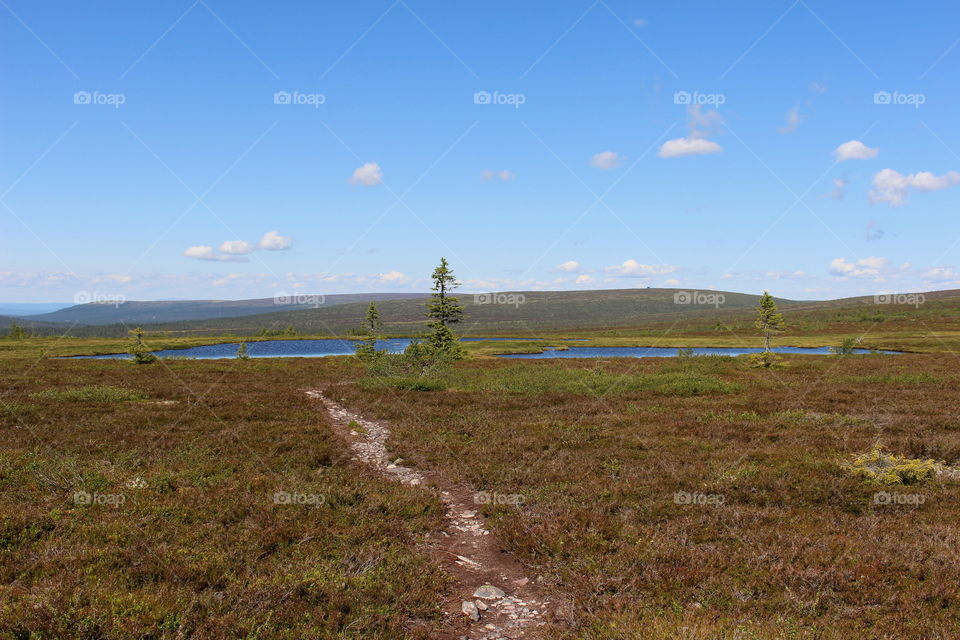 Hiking trail in the mountains, Sälen, Dalarna, Sweden.