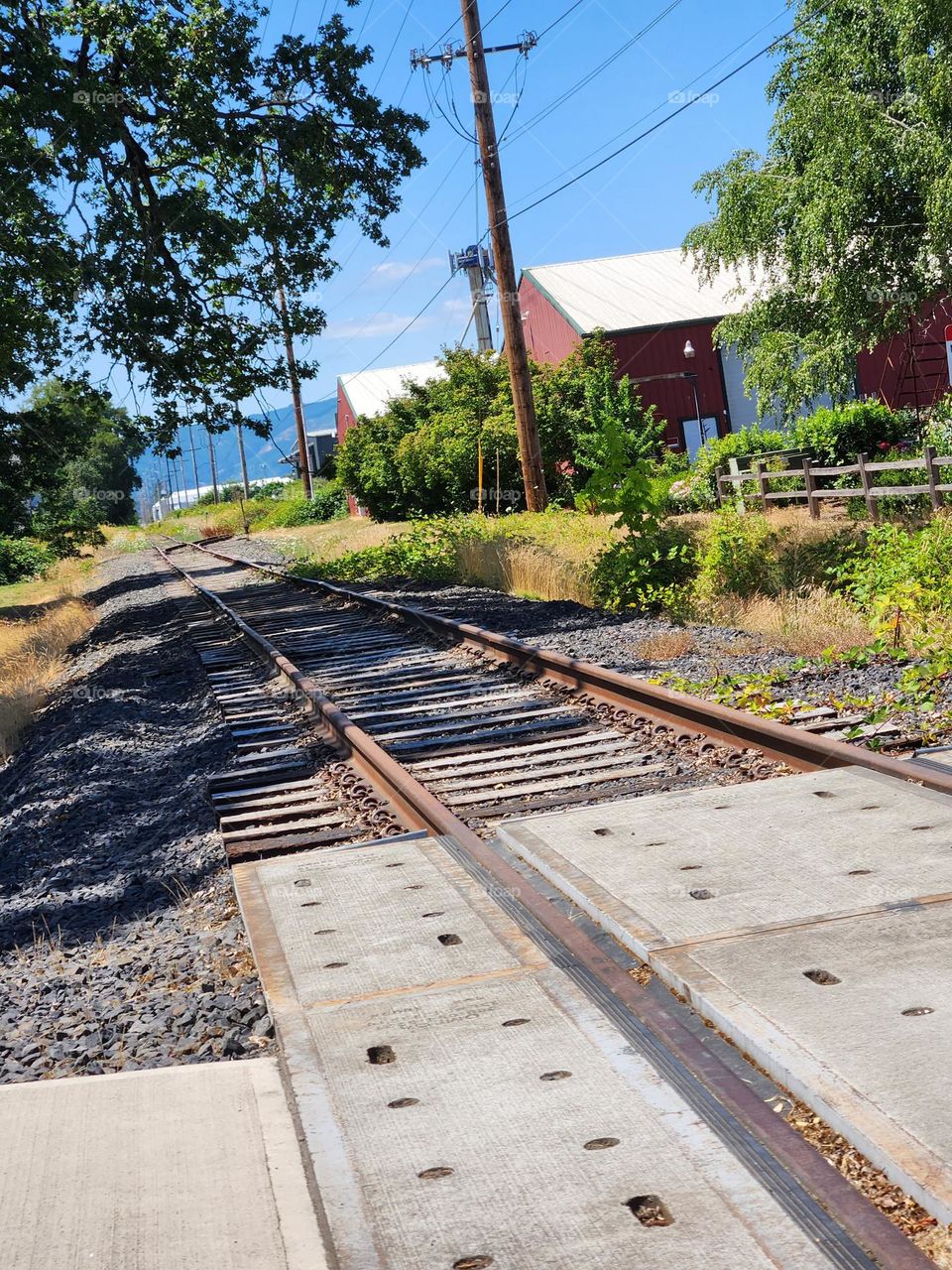 railroad tracks and barn style farmhouses set in blue sky and green trees background in Oregon countryside