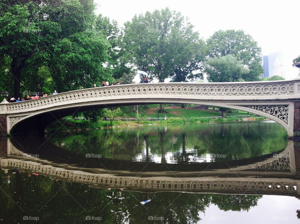 Bow Bridge Central Park