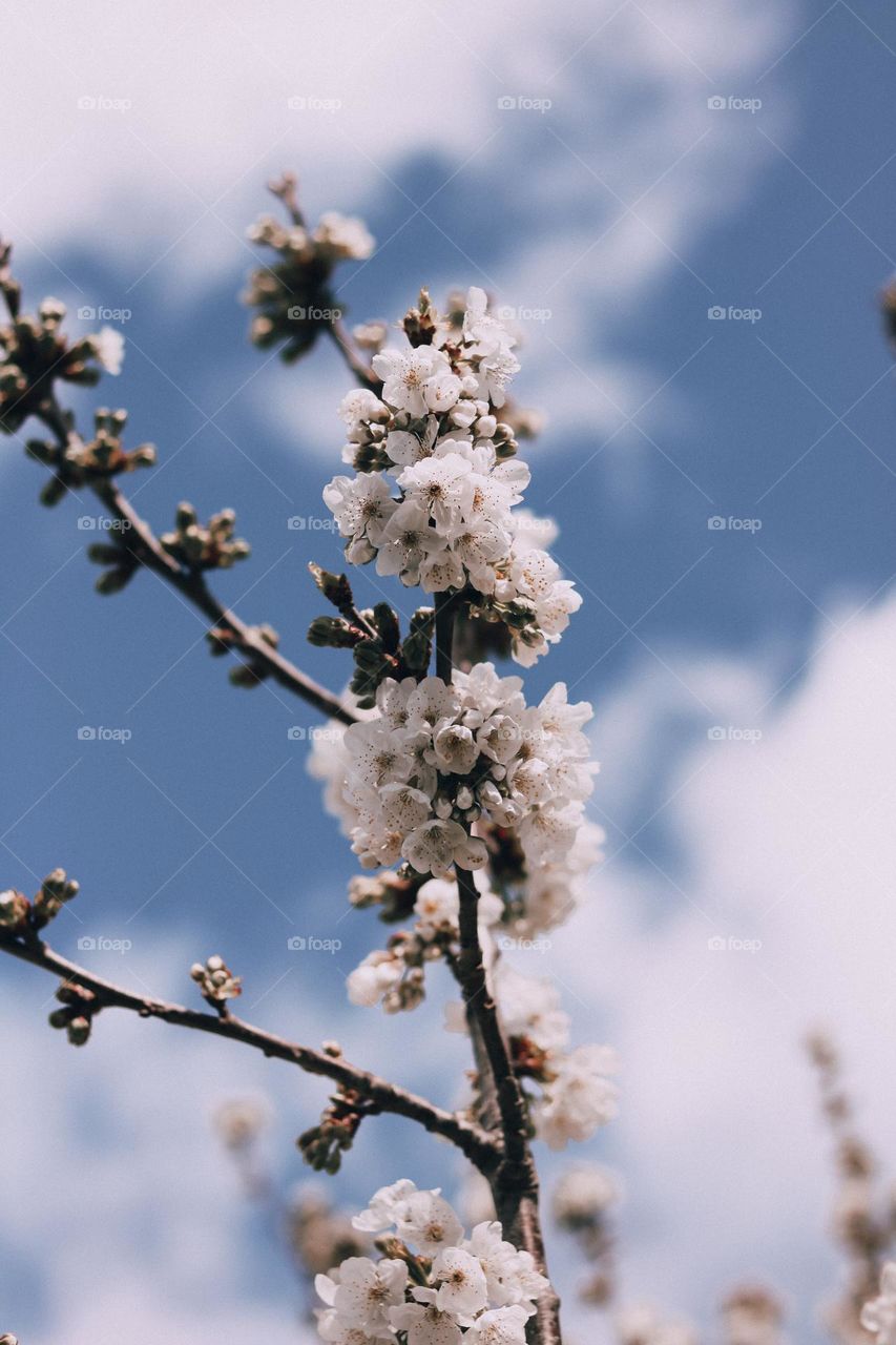 Dare to be different.  Each color in this photo will be experienced differently by each of us.  How beautiful life is.  Is it?