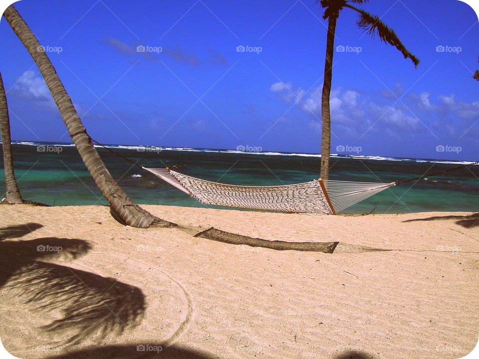 Swing Away. A windy day on the shores on the island of Nevis.