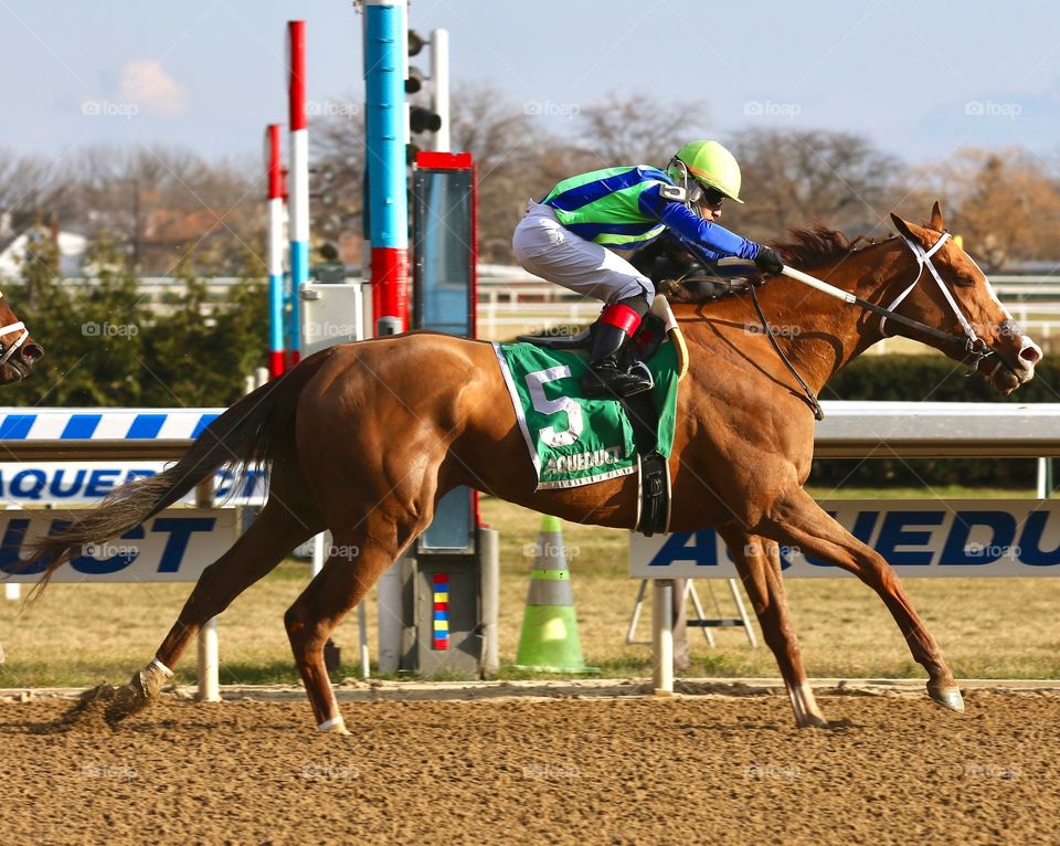 Great Horse Racing Photos by zazzle.com/Fleetphoto