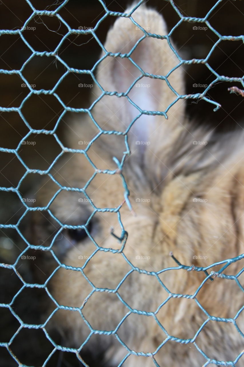 I'm locked up like a monster...