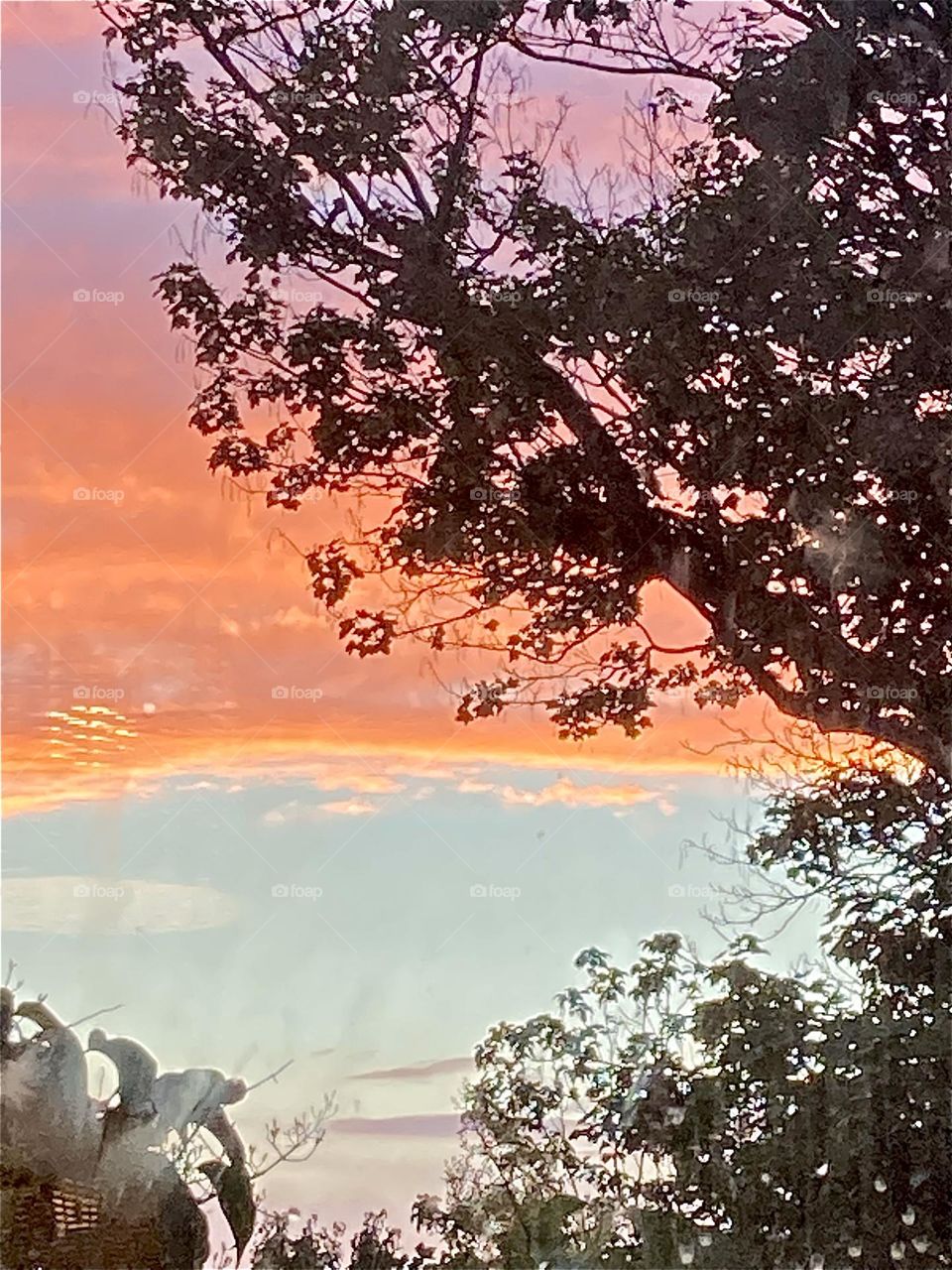 Rainstorms deliver the prettiest sunsets 