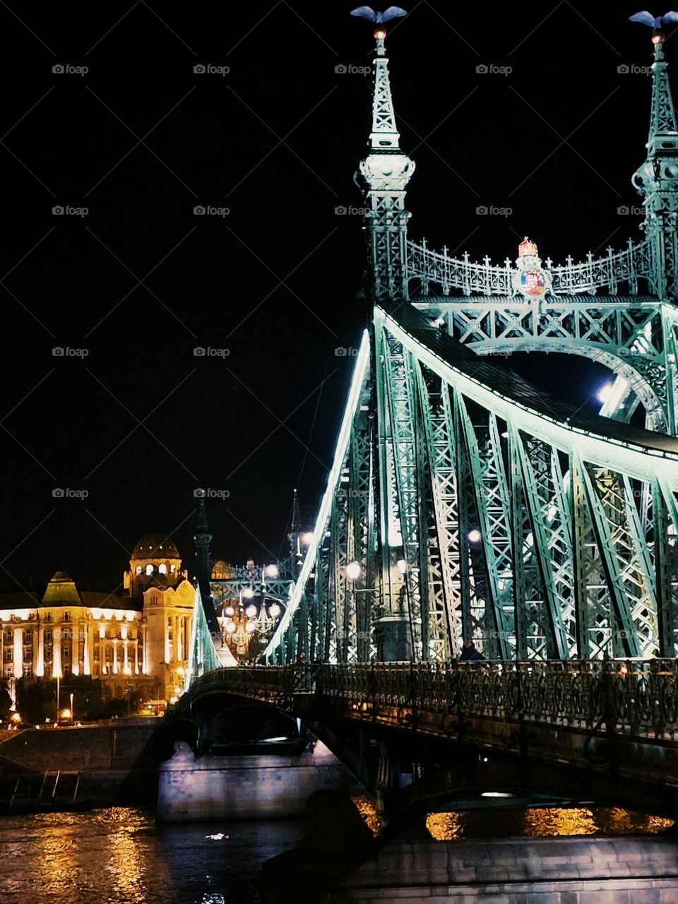 the freedom bridge from Budapest