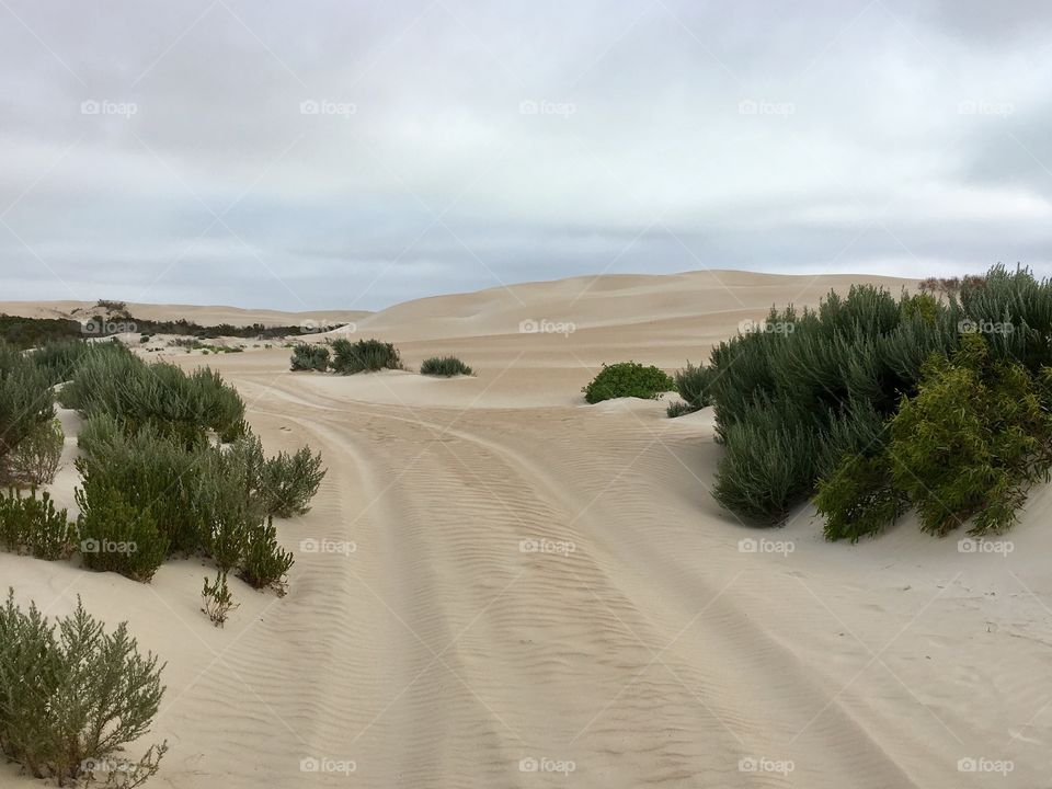 Sand dune track by sea in south Australia 