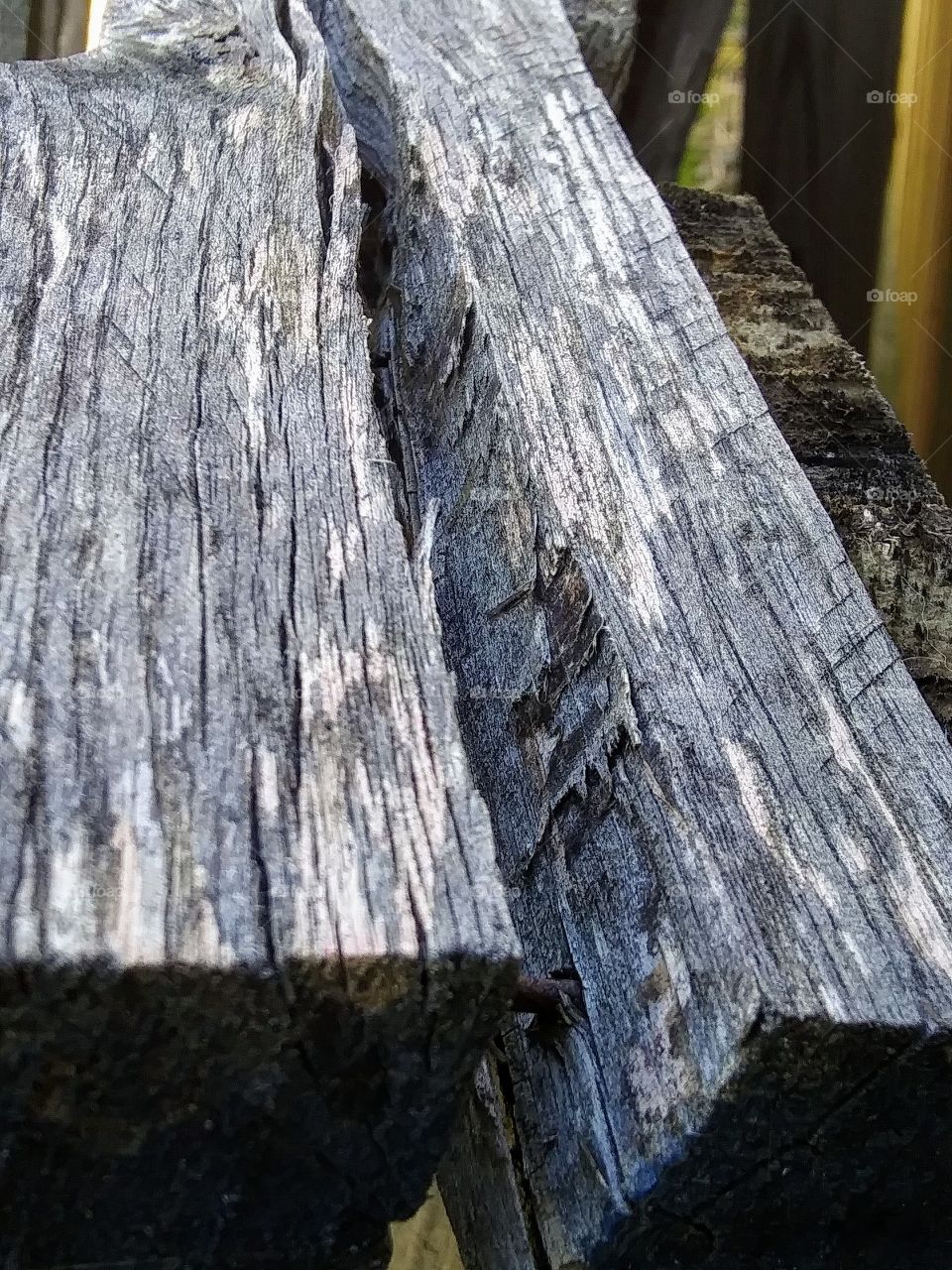split wood