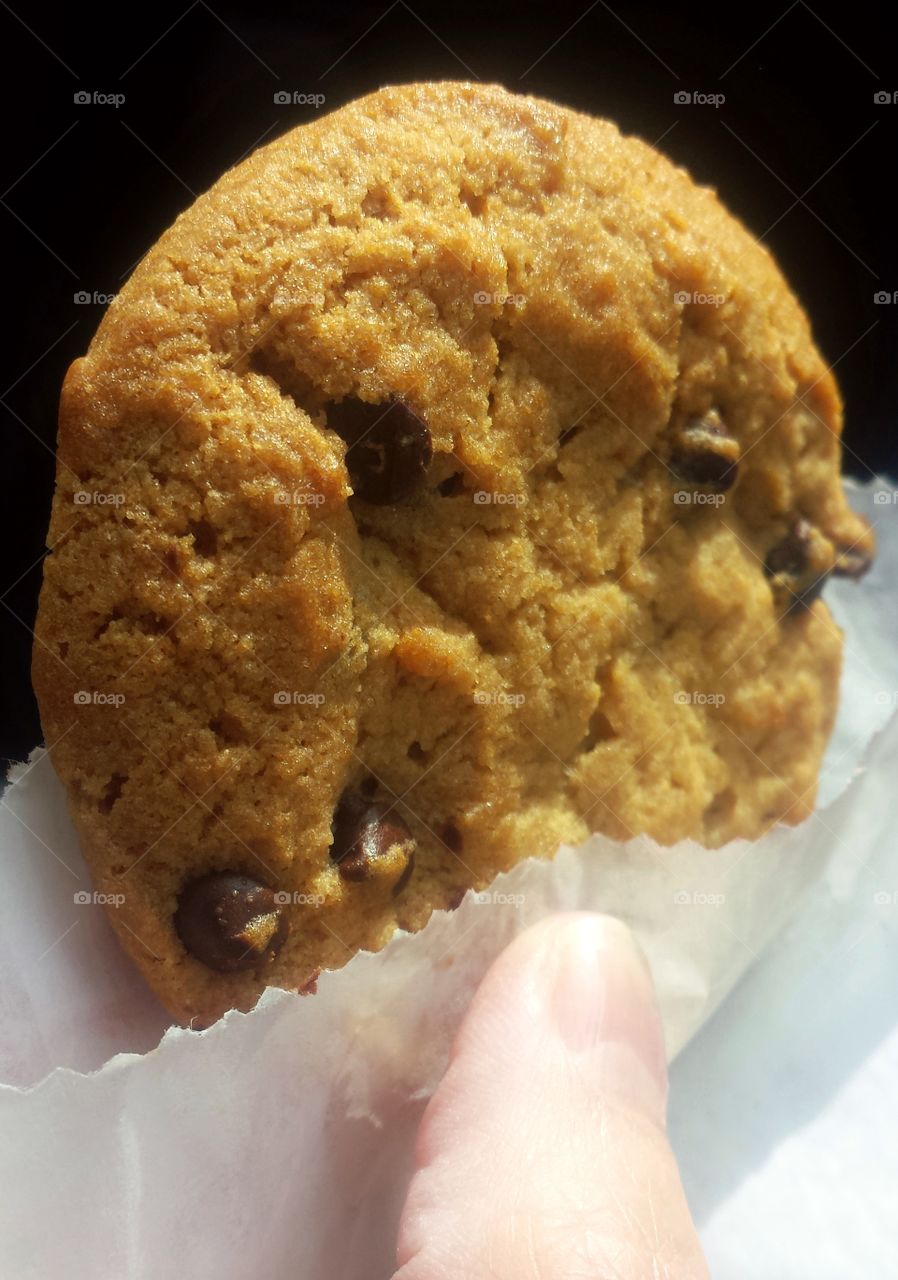 Chocolate Chip Cookie. Fresh Baked Deliciousness