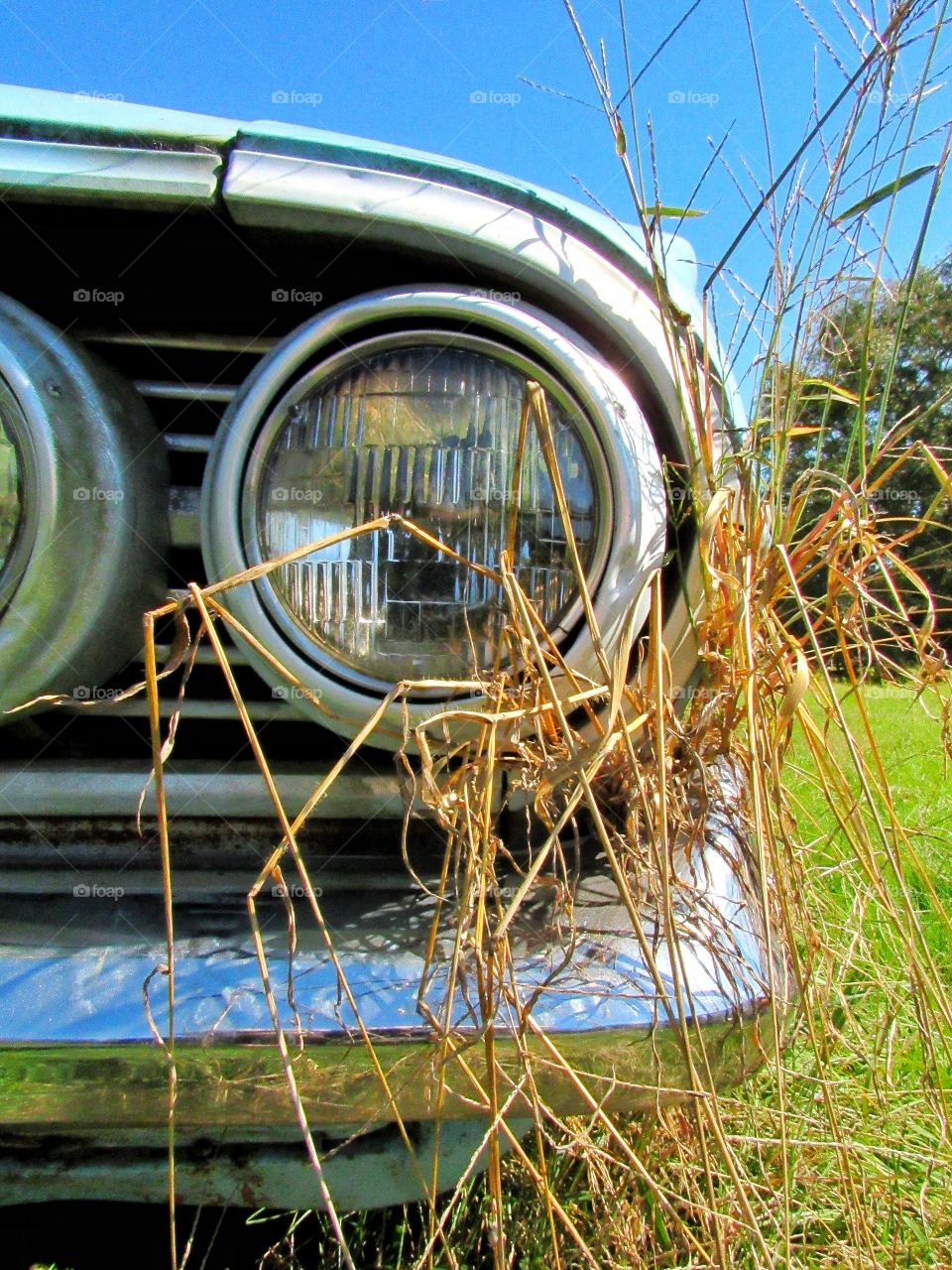 head lights of vintage car with tall grass outdoors