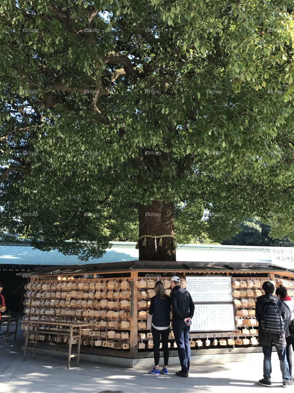 Japan temple, Meiji Shrine, located in Shibuya, Tokyo, is the Shinto shrine that is dedicated to the deified spirits of Emperor Meiji and his wife, Empress Shōken. Tree of worship 
