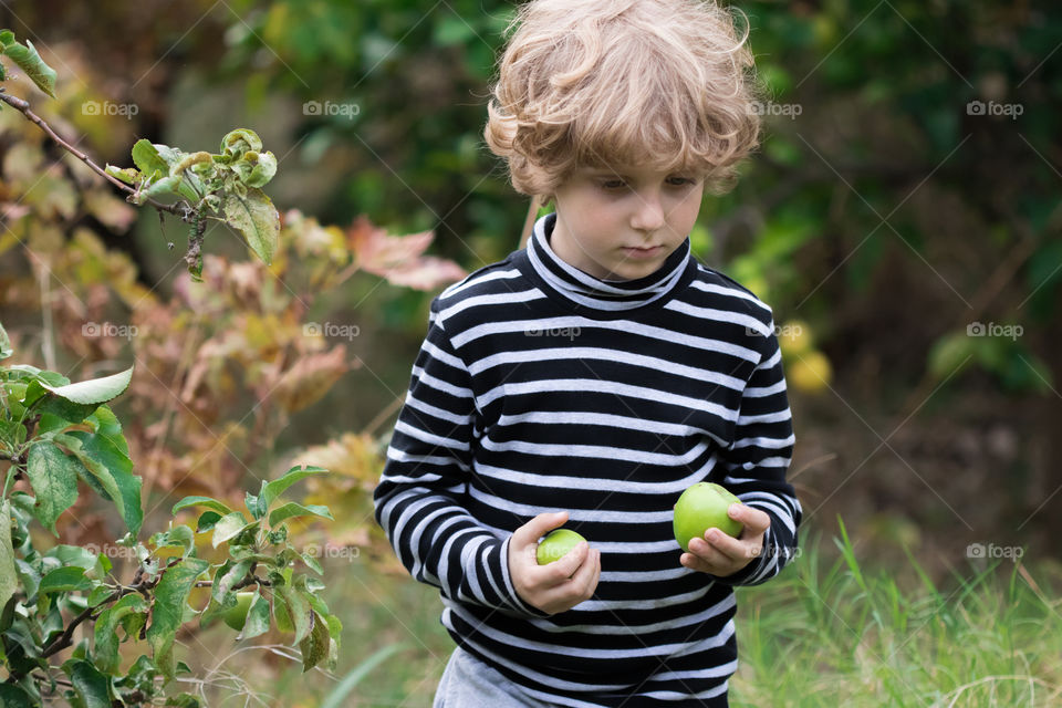 my favourite snack are green apples