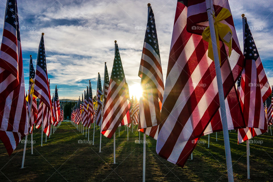 Field of Honor 2