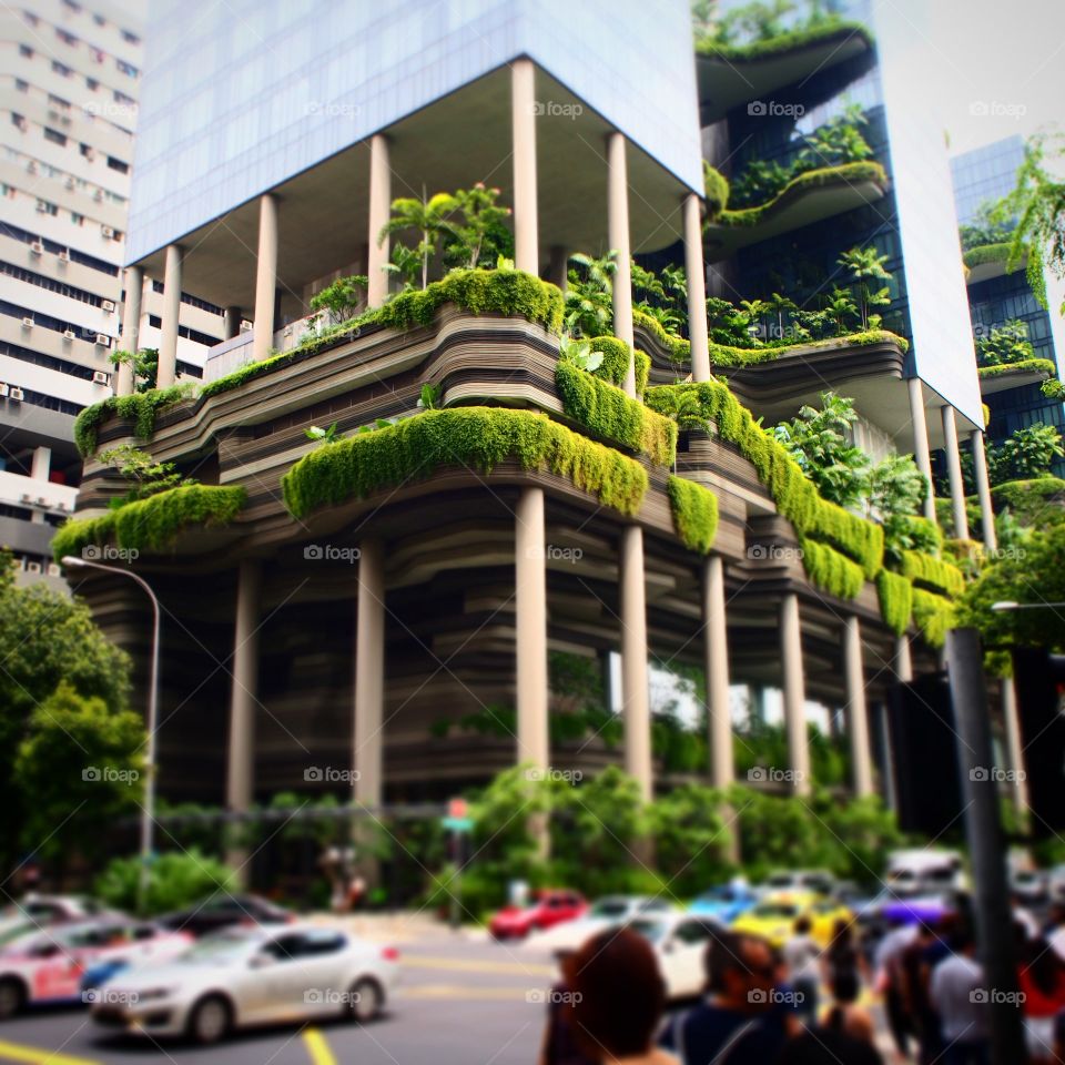 Green Architecture