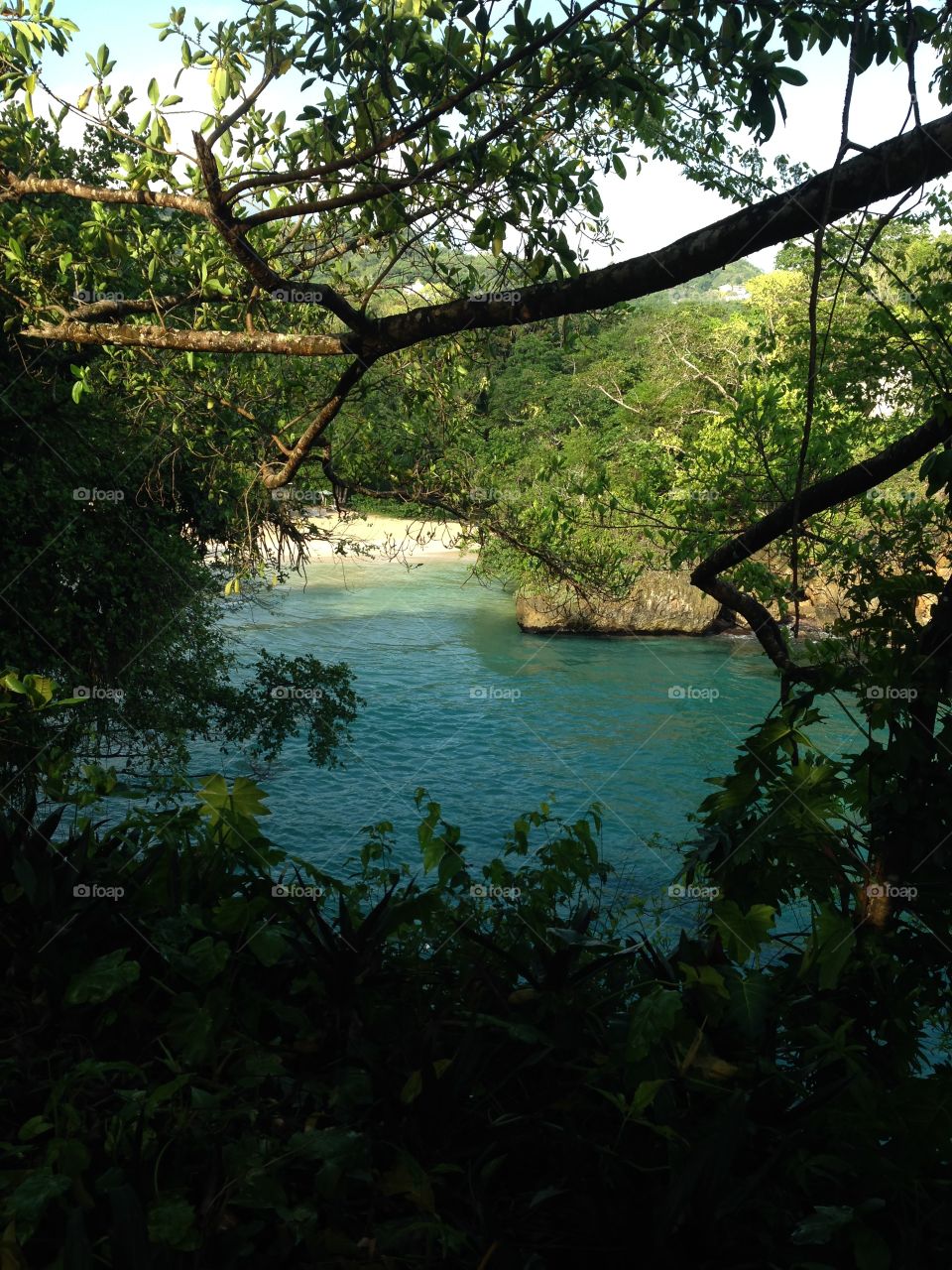 A sneak peak view of Frenchman’s cove beach from an elevated position. Cool water and white sand beaches await those who visit ! Portland , Jamaica 