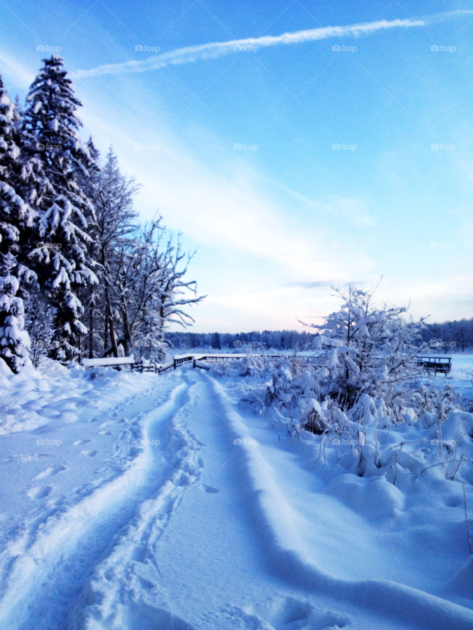 snow winter sky blue by joosse_b