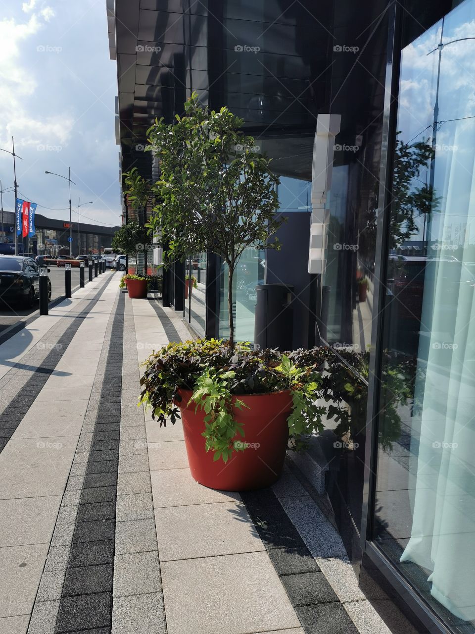 Summer walk through the big city