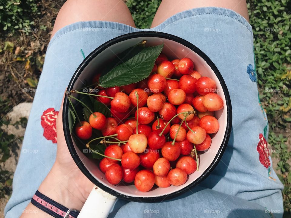 Cherries 