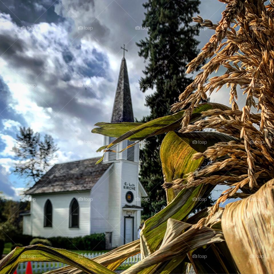 Corn stalks and beautiful churches. Such a gorgeous fall day. 