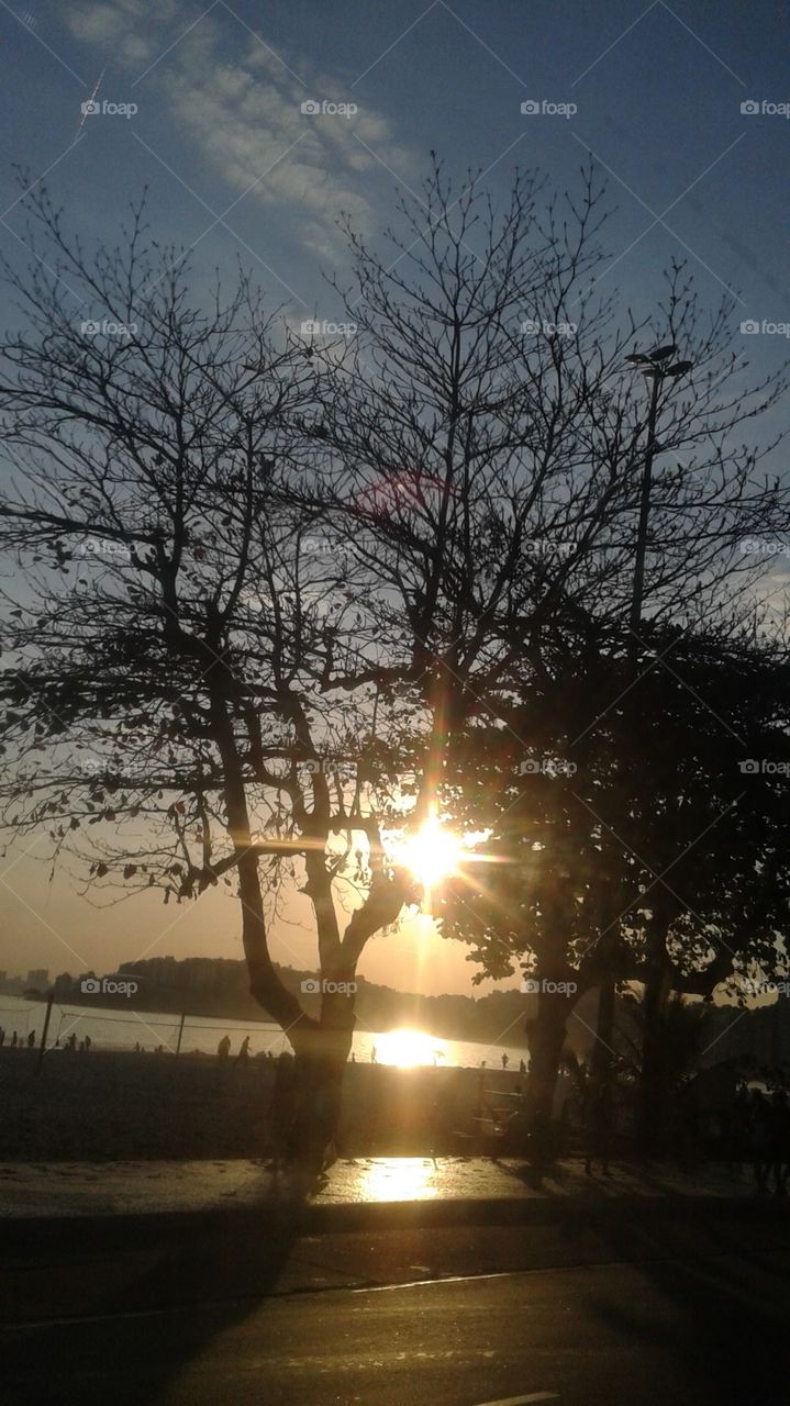 sol árvores céu pessoas Icaraí Niterói