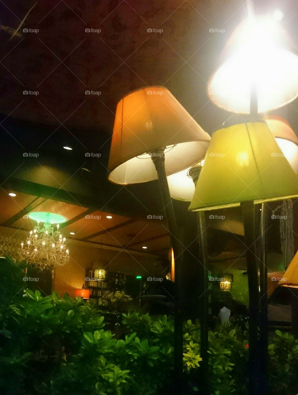 Silence of the Lamps. Interiour