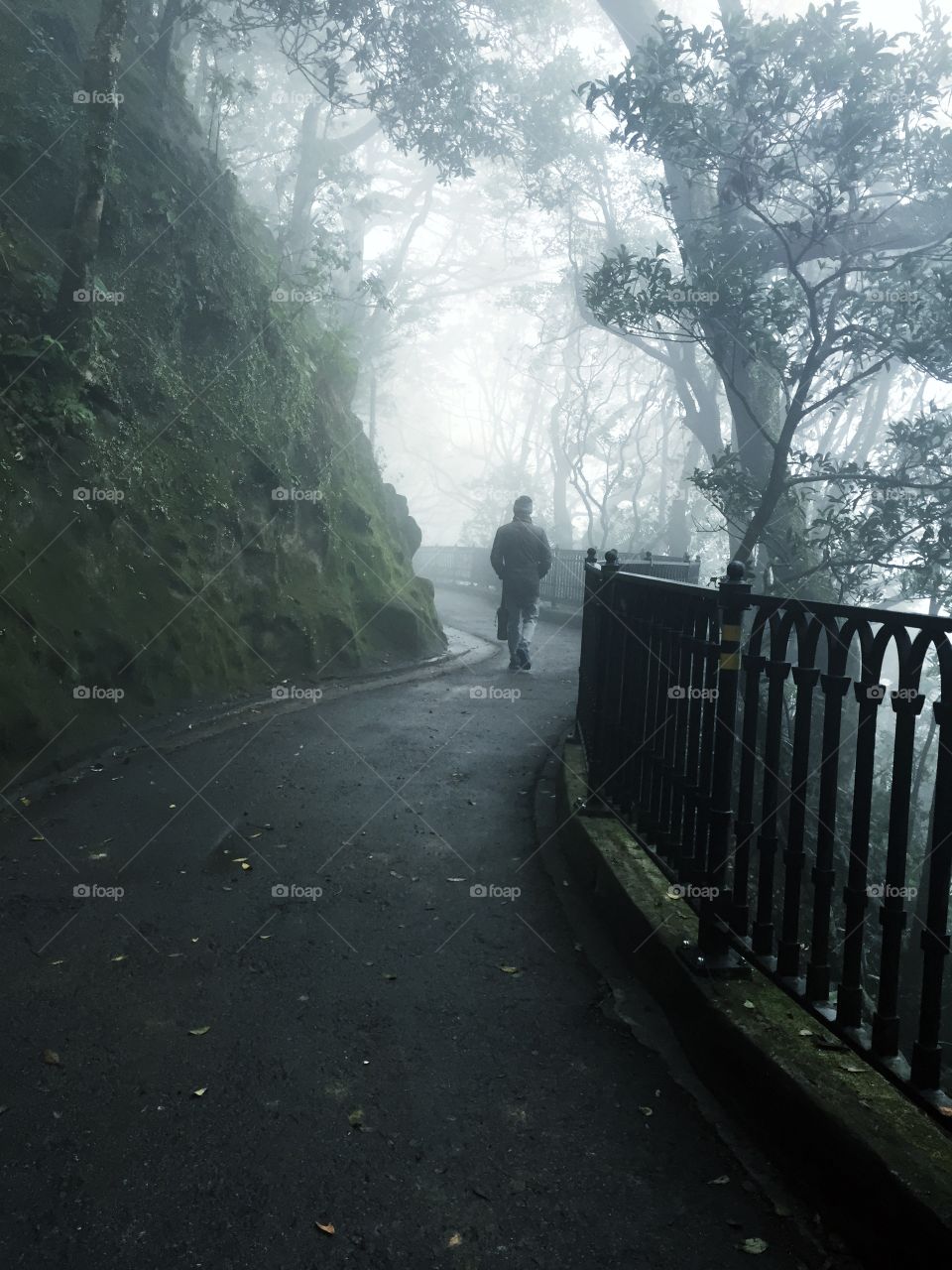 Man walking through the mist in the forest deep in thought 