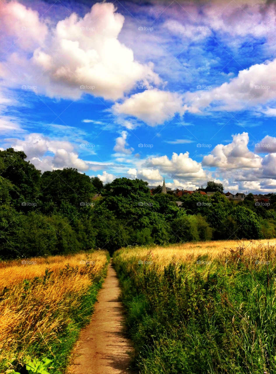 yorkshire england sky clouds woodland by binkyboo