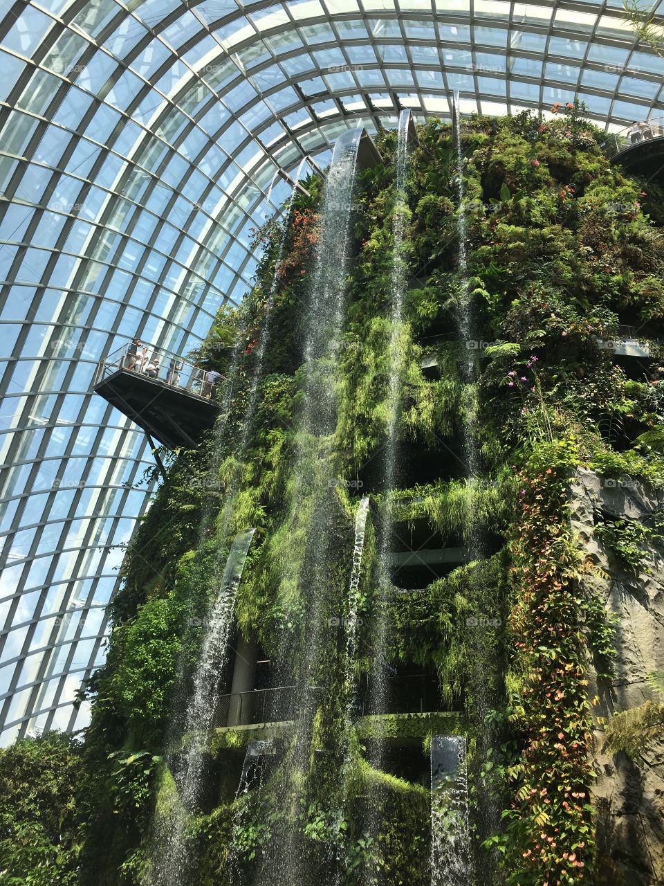 Incredible Cloud forest - Garden by the bay Singapore 2018