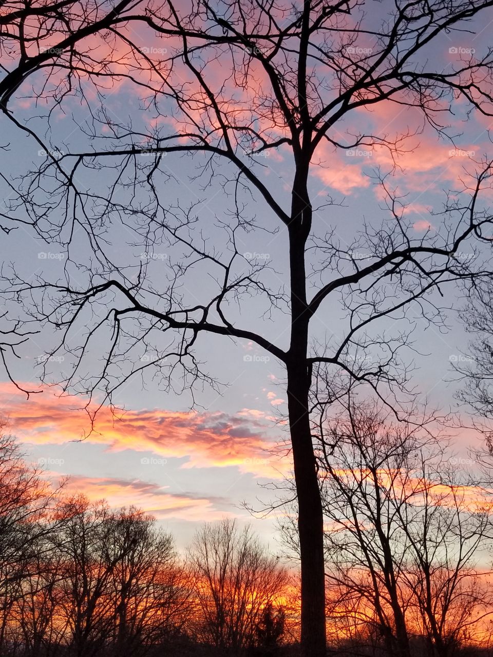 Brilliant and beautiful afternoon sunset