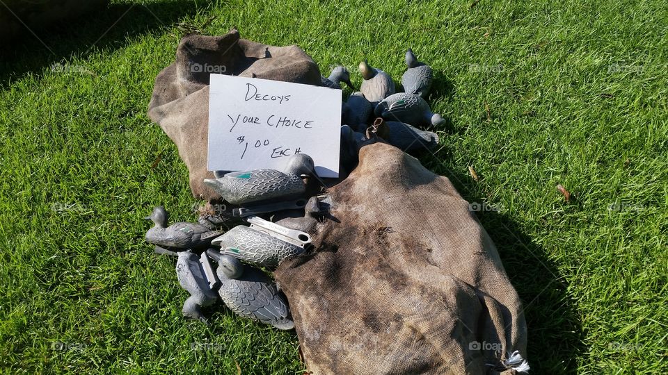 Duck Decoys for sale