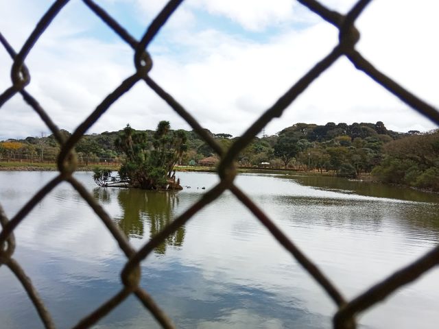 natureza, ar puro...