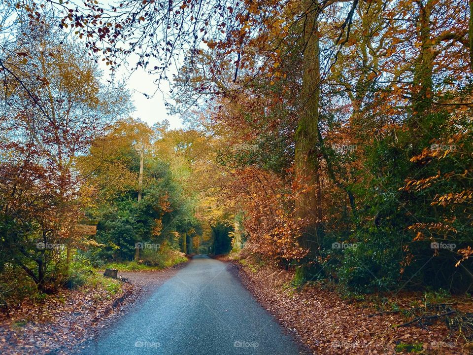 A Dying season, England