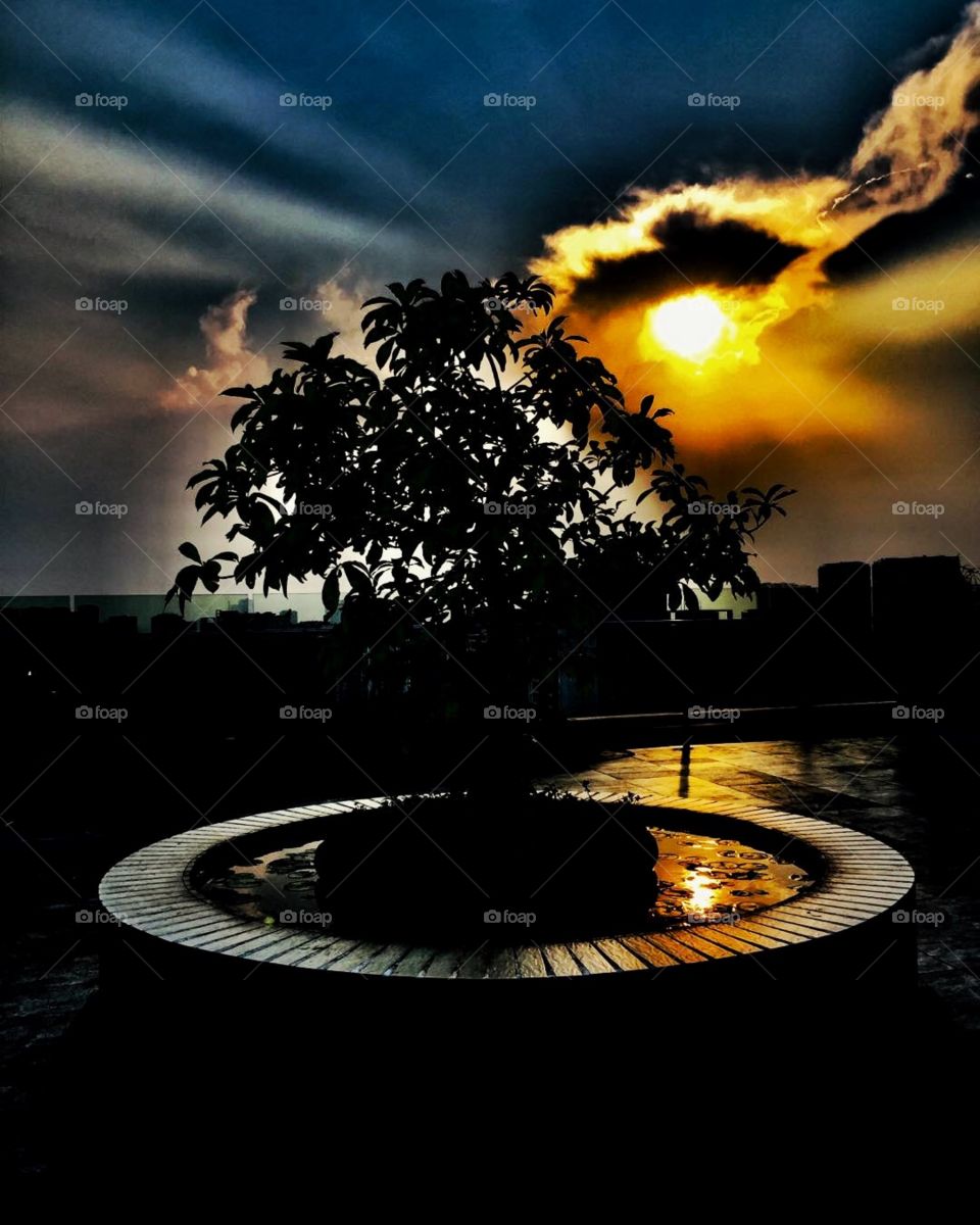 Sunsets are proof that no matter what happens, every day can end beautifully.