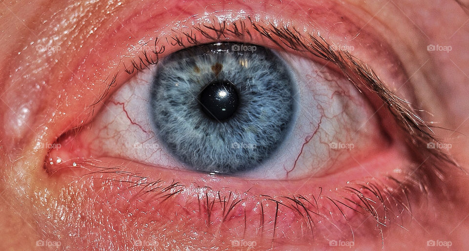 macro blue eye human by delvec