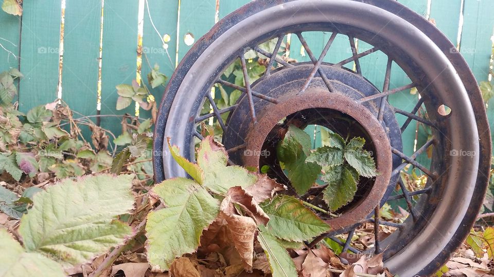 rustic outdoor wheel and ivy