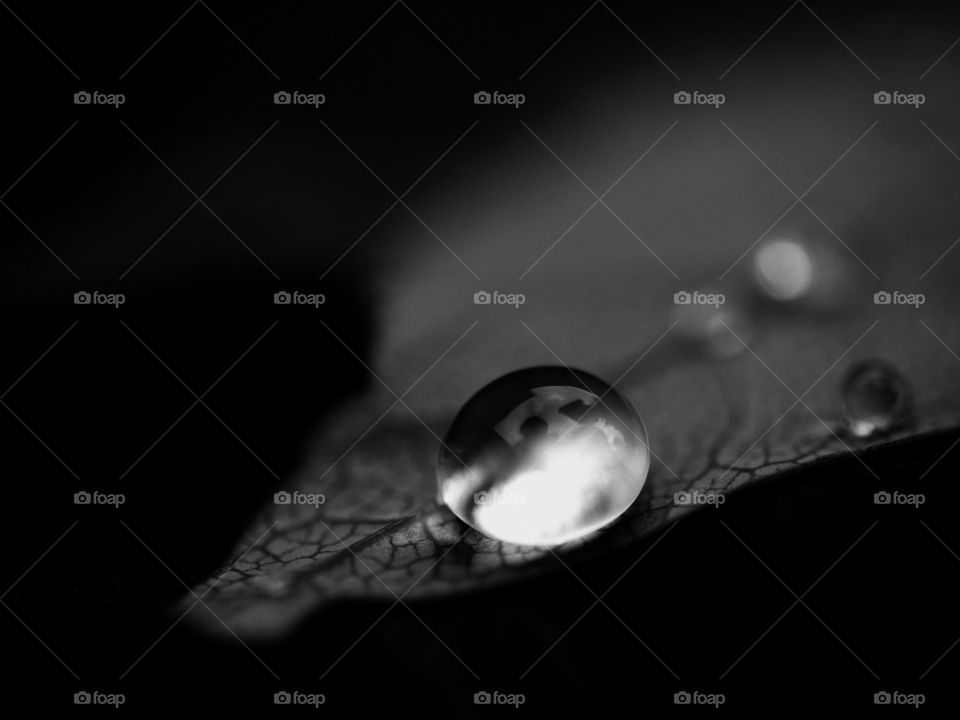 water drop in gray scale