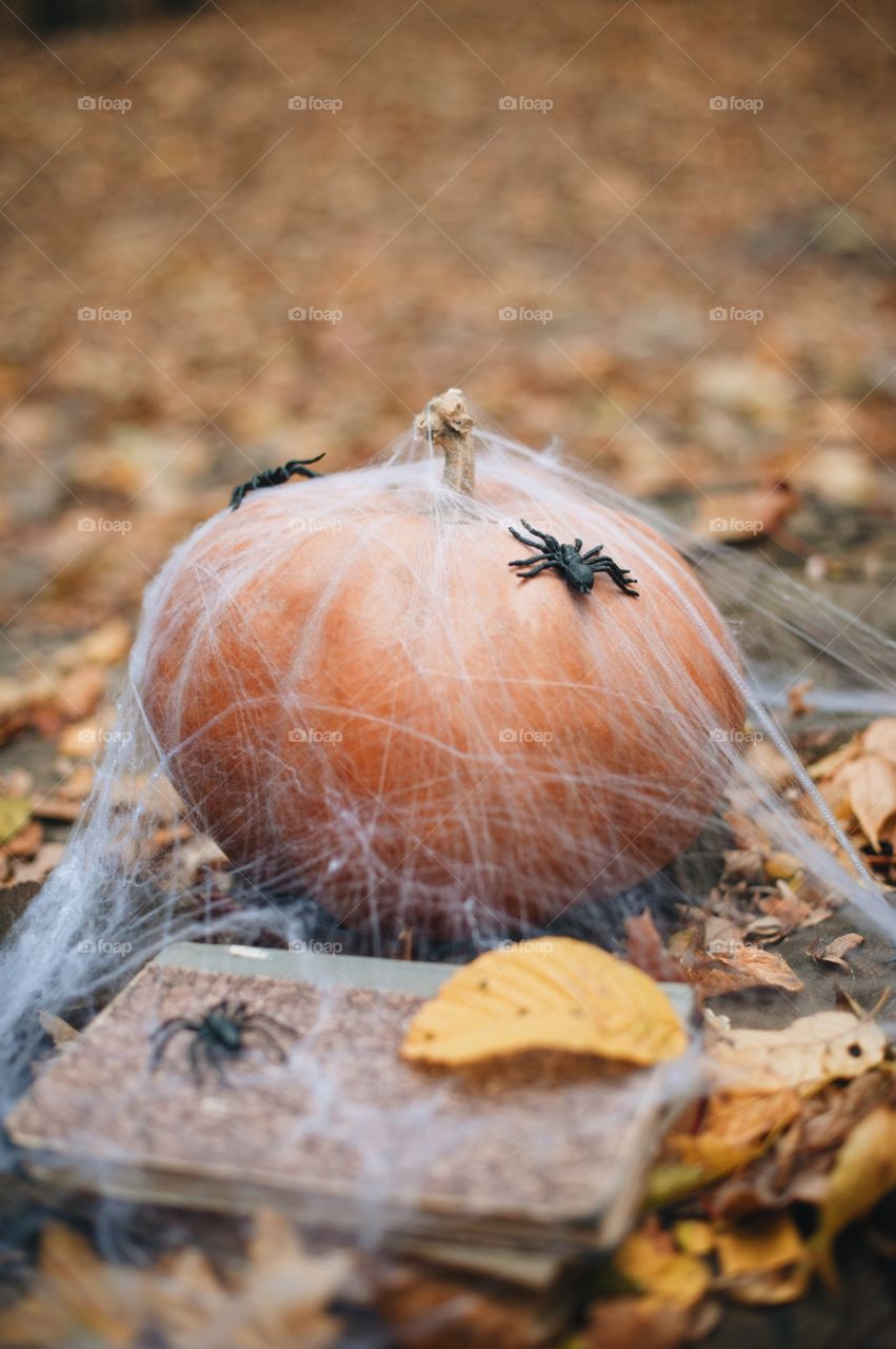 Pumpkin covered in spider web