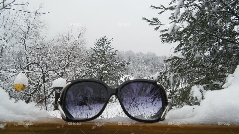 sunglasses snow nature polarized