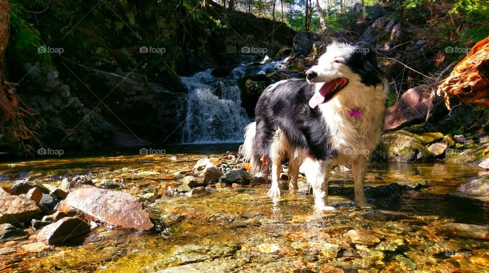 Dakota at the waterfall